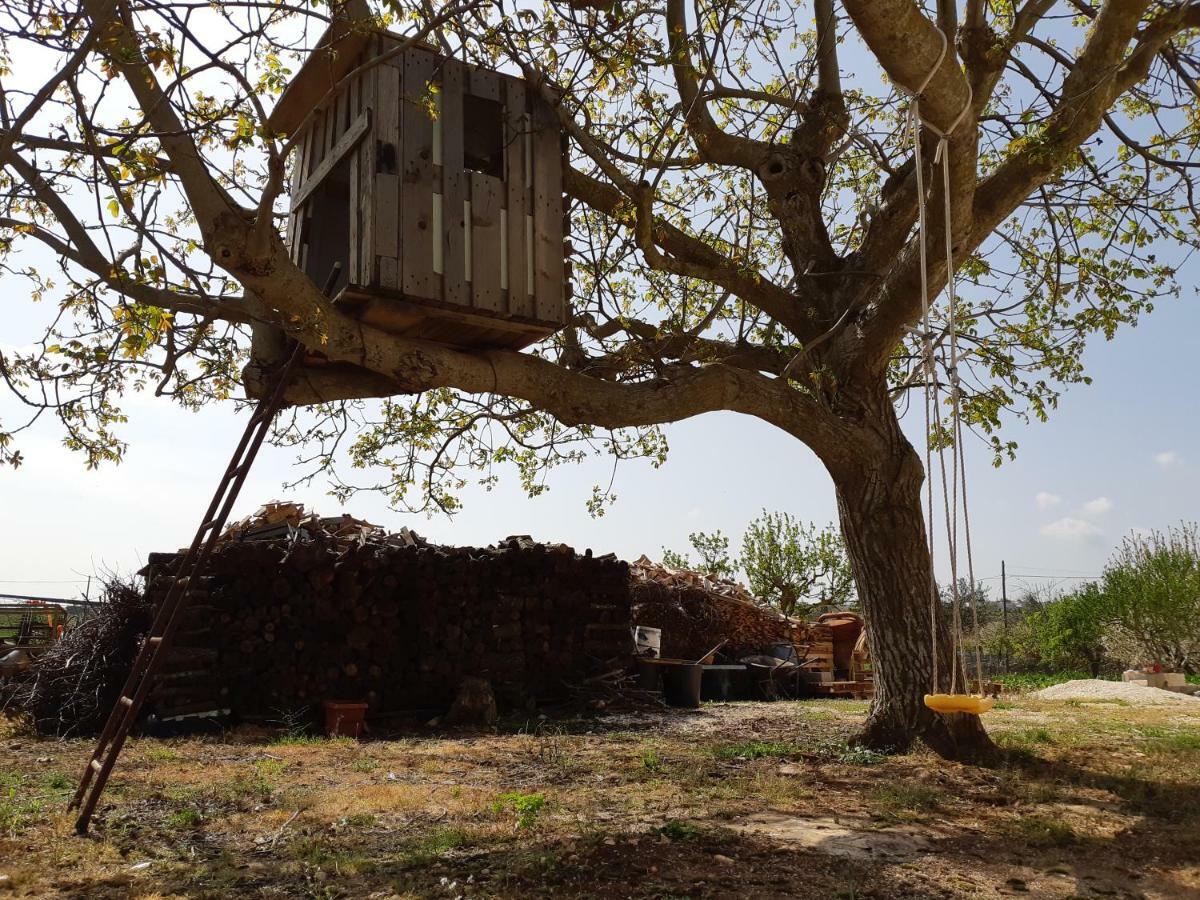 Trullo Della Rosa Villa Martina Franca Dış mekan fotoğraf