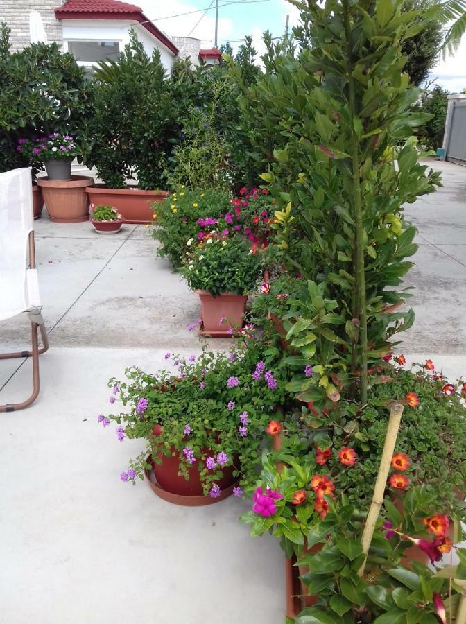 Trullo Della Rosa Villa Martina Franca Dış mekan fotoğraf